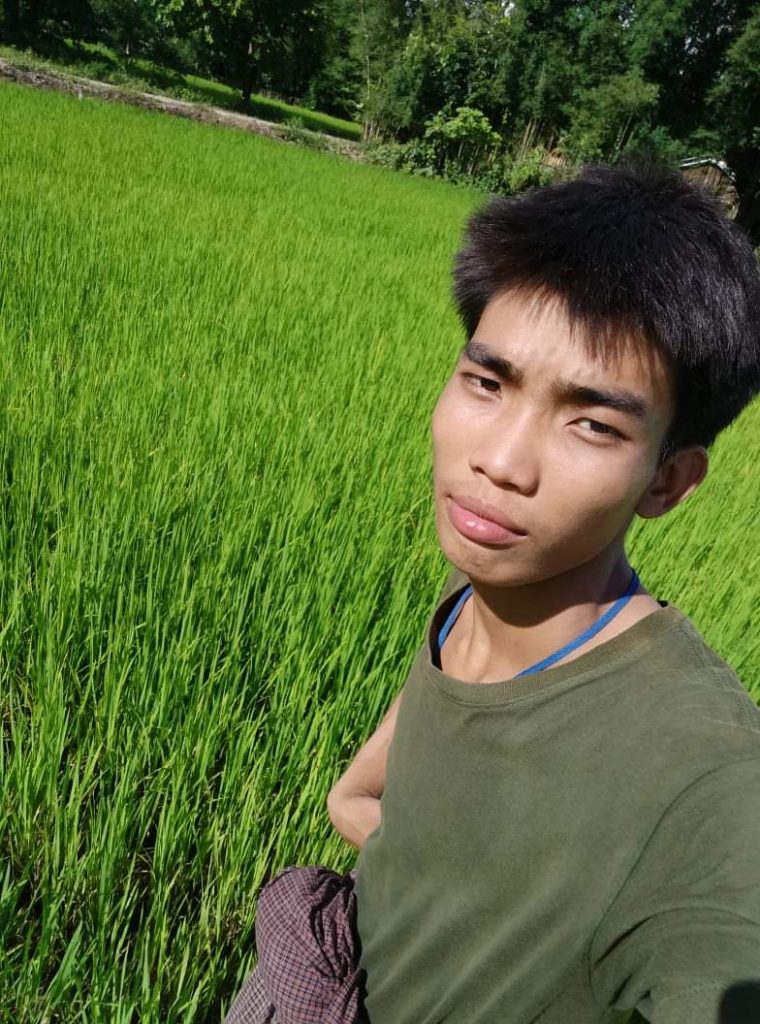 A data-led agritech revolution is transforming the lives of Myanmar’s farmers